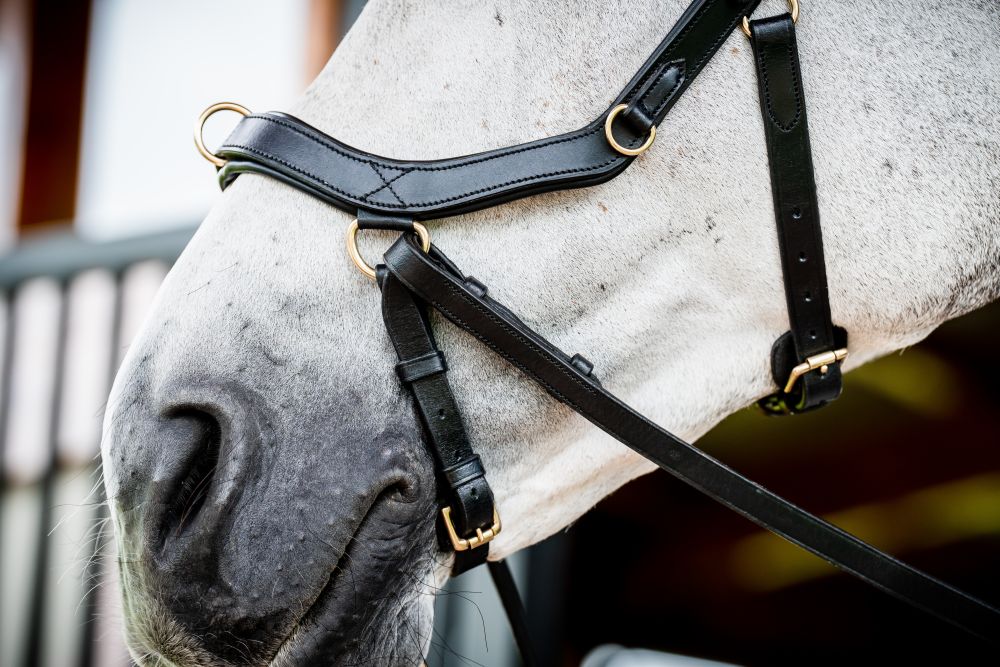 HORSEWARE® Micklem® 2 Multi Bridle, black