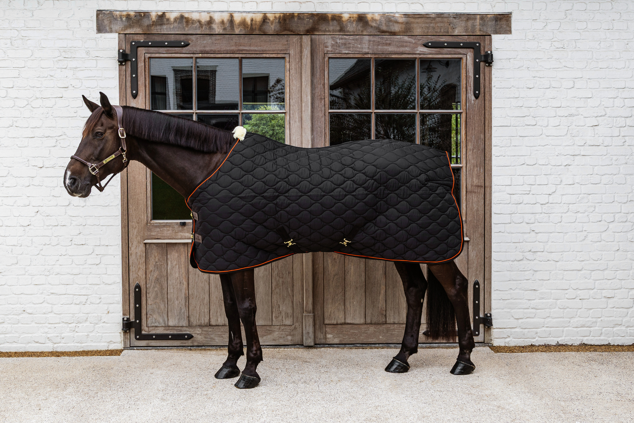 KENTUCKY® HORSEWEAR Stalldecke Wave 160g, schwarz Schwarze gesteppte Stalldecke Wave mit orangem Rand an einem dunkelbraunen Pferd in der Seitenansicht.