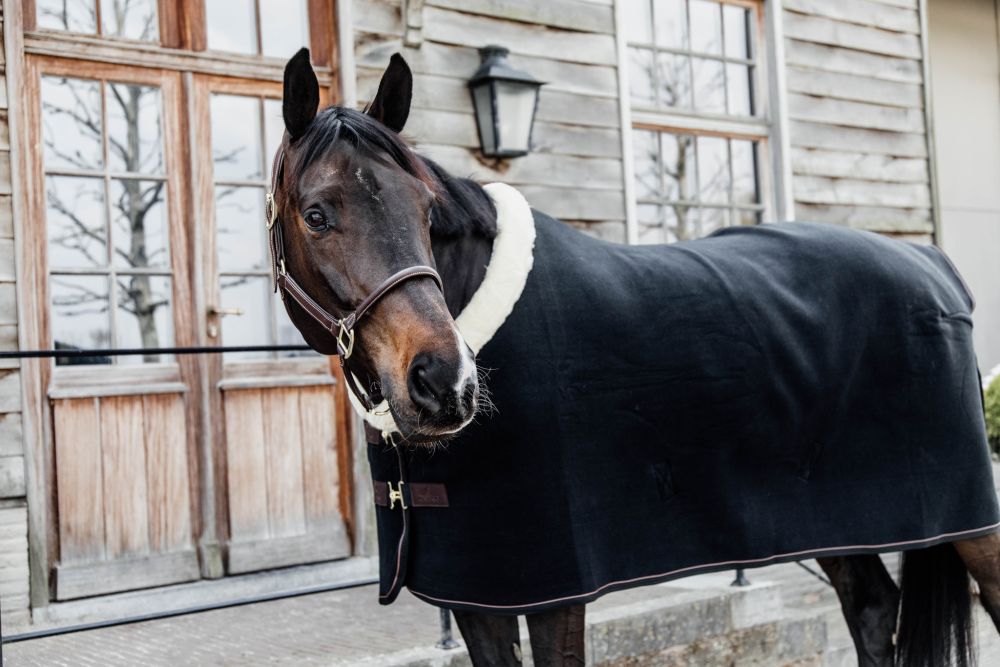 KENTUCKY® HORSEWEAR Turnierabschwitzdecke Heavy Fleece, schwarz
