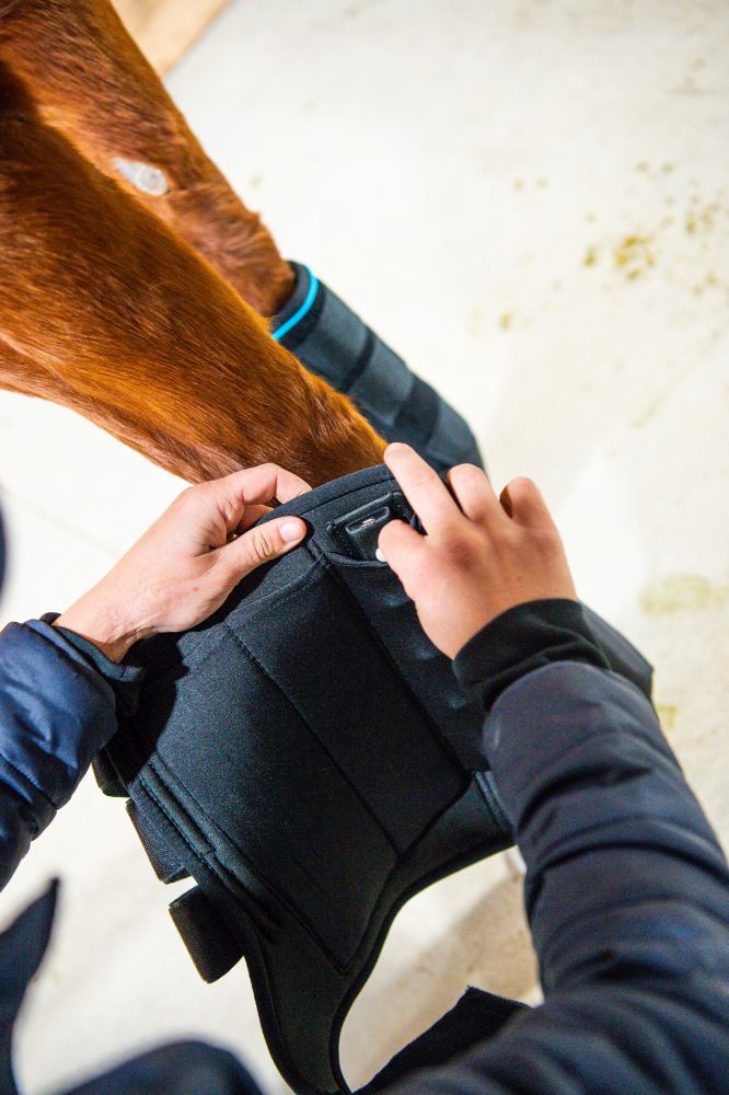 HORSEWARE® Ice-Vibe® Boots