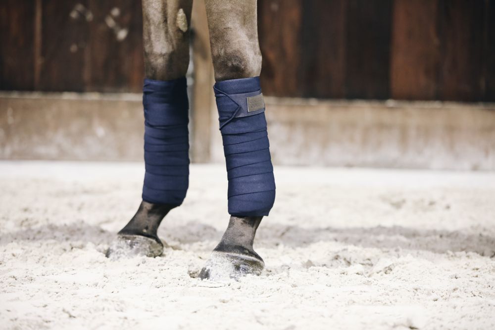 Kentucky Horsewear Repellent Arbeits-Bandagen in Marineblau, angelegt an den Vorderbeinen eines Pferdes im Sand.