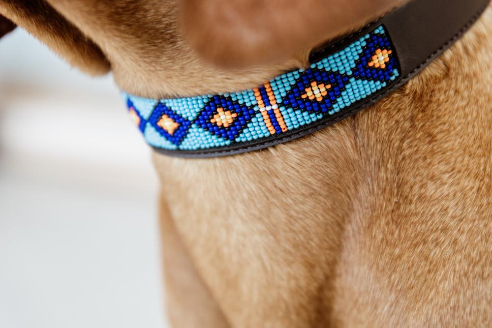 KENTUCKY® DOGWEAR Hundehalsband Pearls, blau