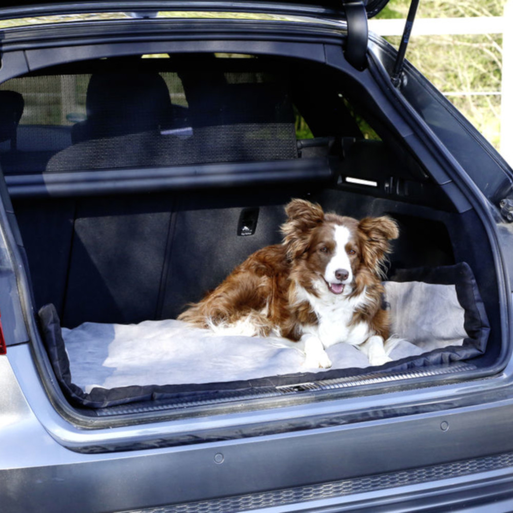 Hundedecke Trip