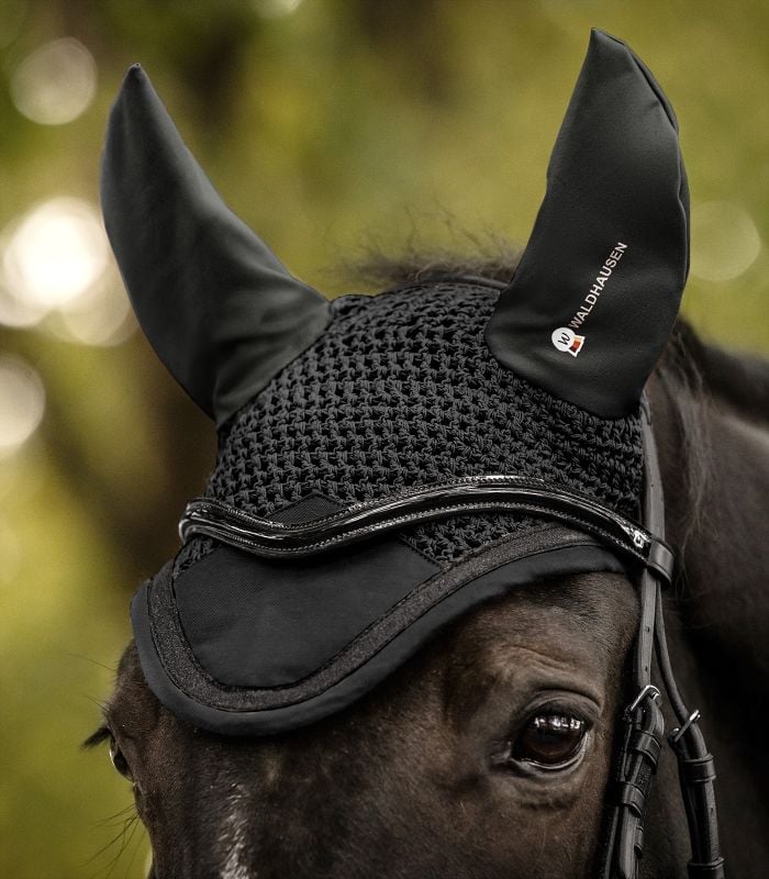 Schwarze WALDHAUSEN Fliegenohren Competition am Pferd. Gehäkeltes Netz, elastische Ohren und glänzende Paspelierung.