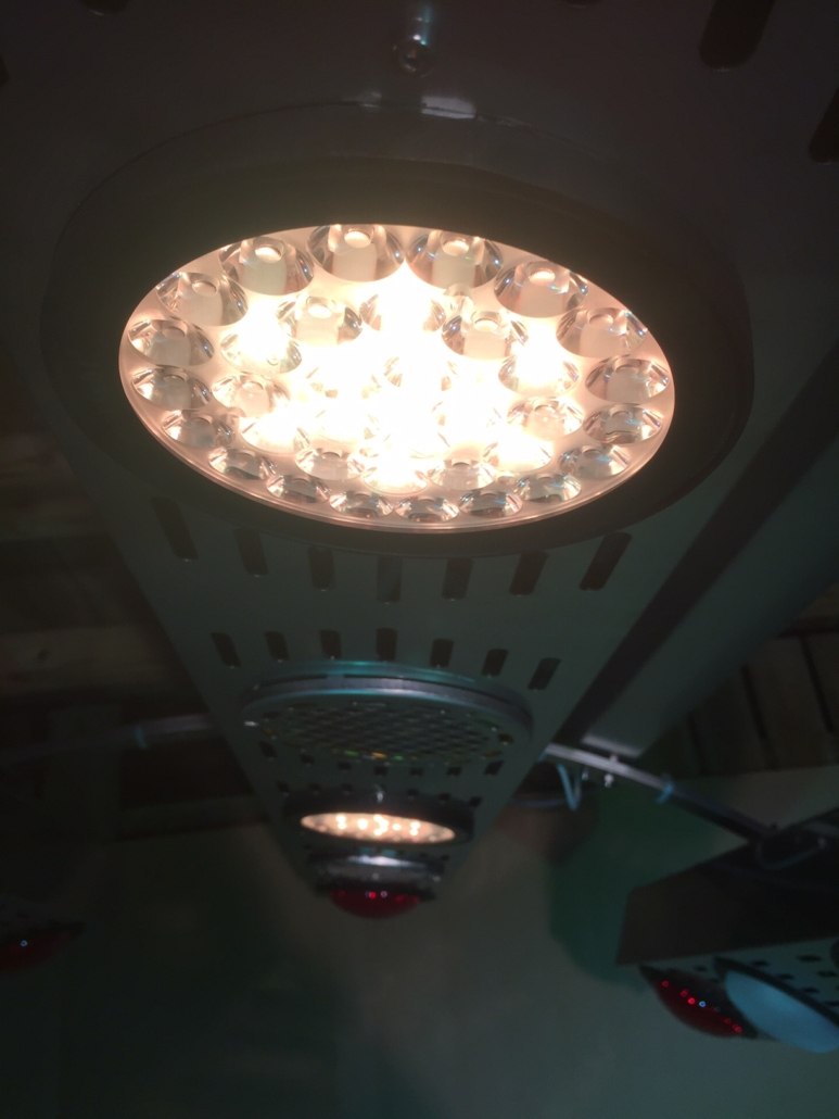 Nahaufnahme des weißen Therapie-Farblichts am SUMMERWIND Pferdesolarium. Die runde LED-Einheit leuchtet hell von oben.