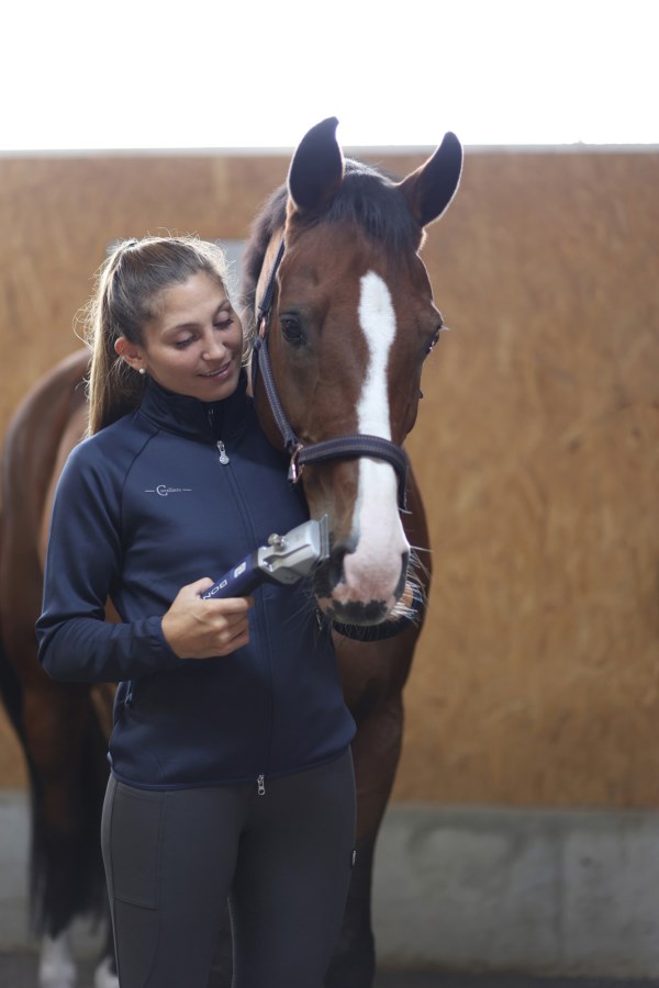 Eine Frau hält die blaue AESCULAP Akkuschermaschine Bonum Pro für die Pferdeschur neben ein braunes Pferd.