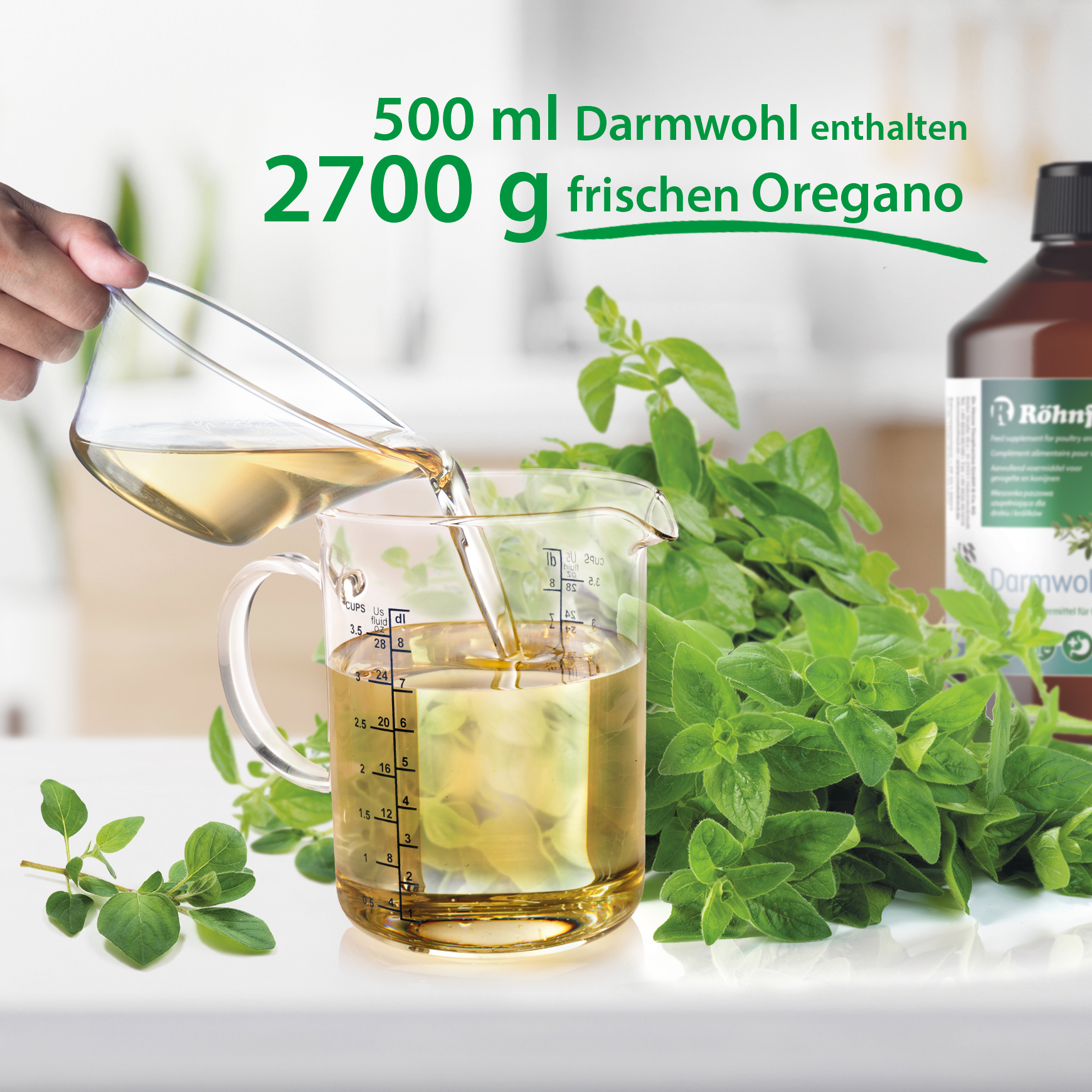 RÖHNFRIED® Darmwohl