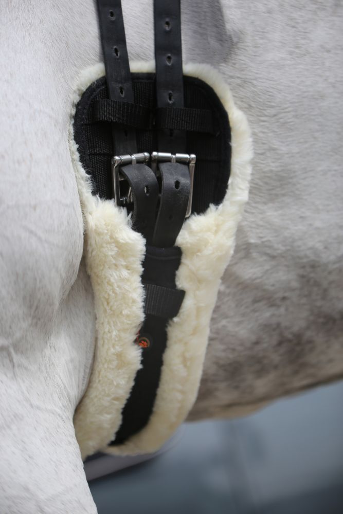 KENTUCKY® HORSEWEAR Schaffell Kurzgurt