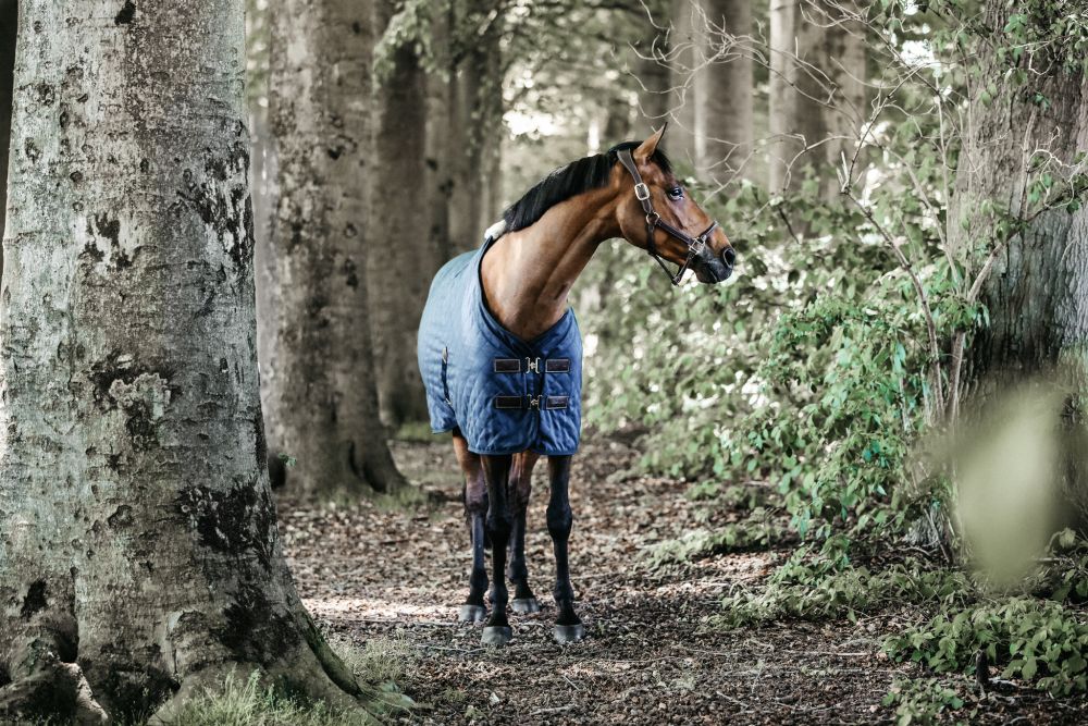 KENTUCKY® HORSEWEAR Stalldecke 0 g, marine