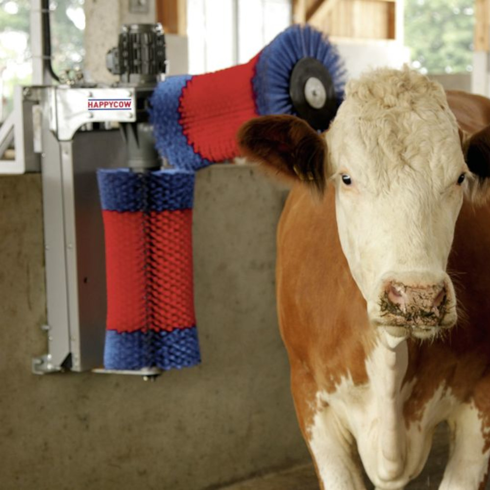 HAPPYCOW Kuhputzmaschine Duo