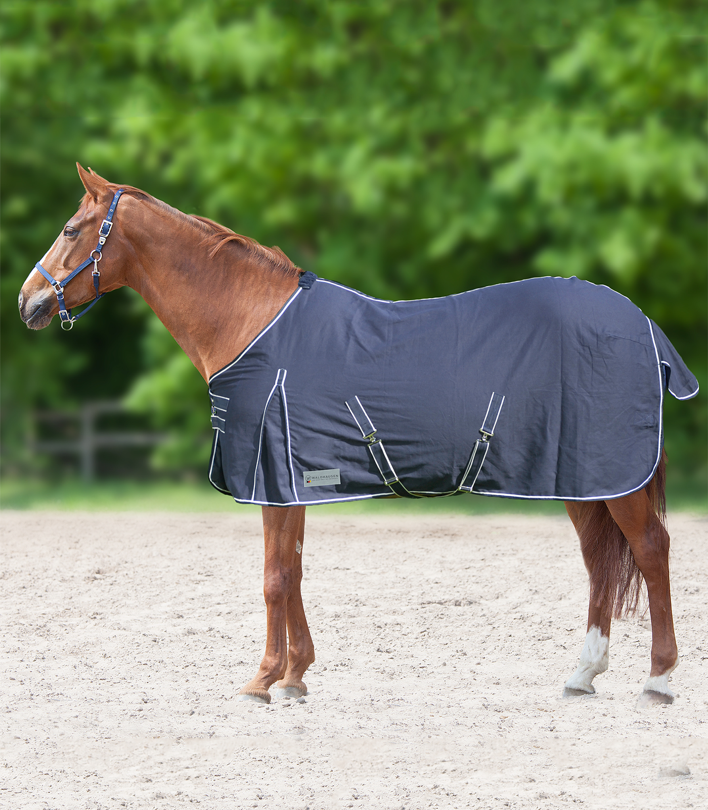 WALDHAUSEN COMFORT Stall- und Sommerdecke, nachtblau