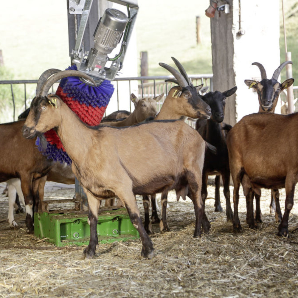 HAPPYCOW Kuhputzmaschine MiniSwing