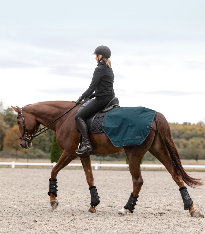 Petrolblaue Regen-Nierendecke Salzburg auf einem braunen Pferd während des Trainings auf dem Reitplatz.