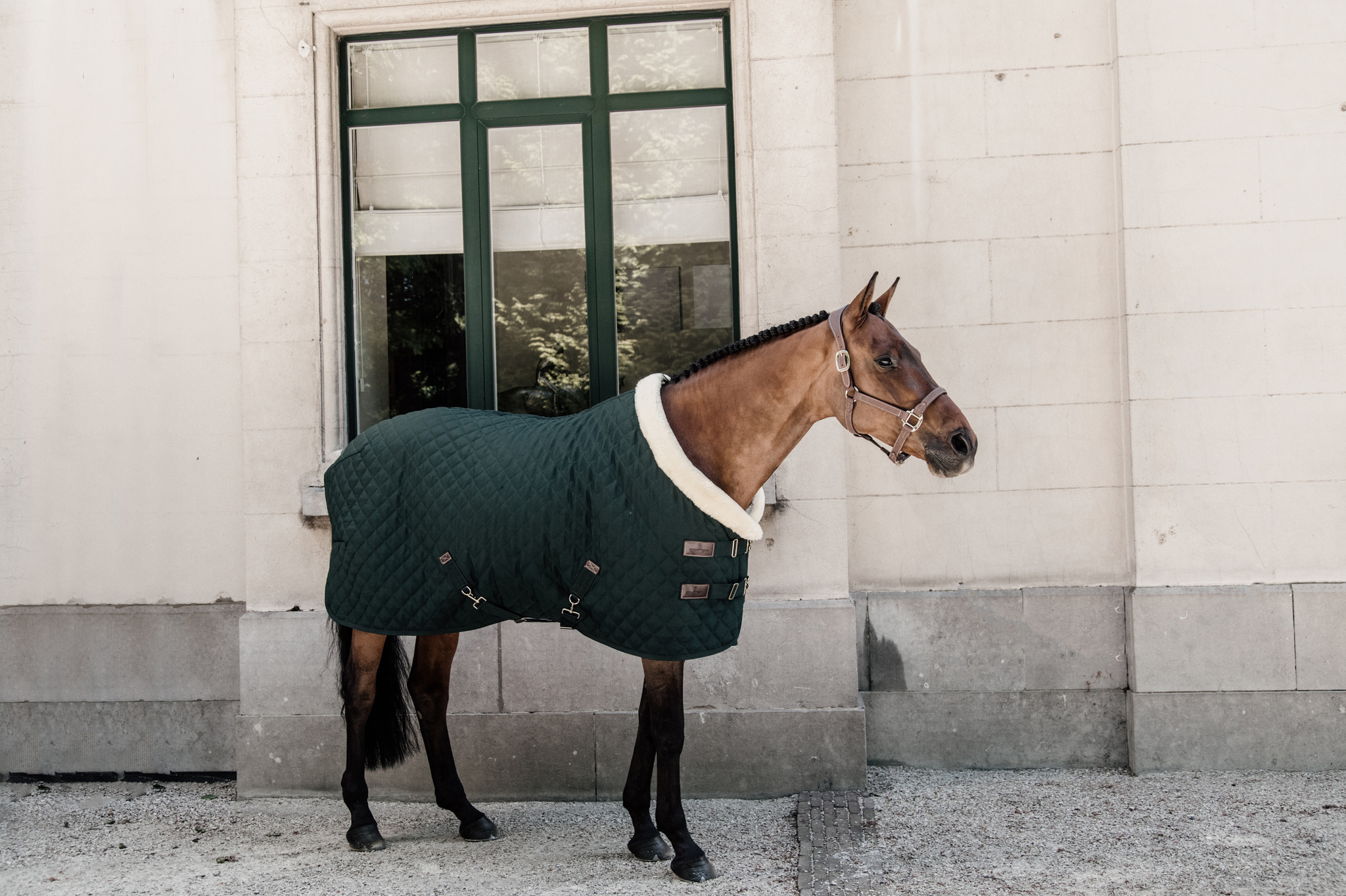 KENTUCKY® HORSEWEAR Turnierdecke, dunkelgrün