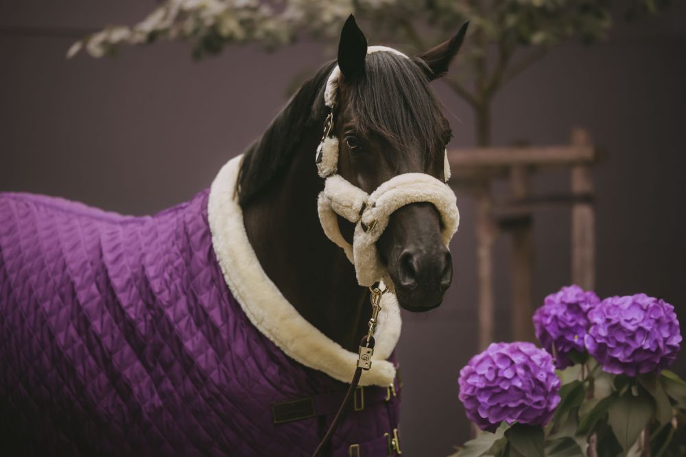 KENTUCKY® HORSEWEAR Turnierdecke, königliches-violett