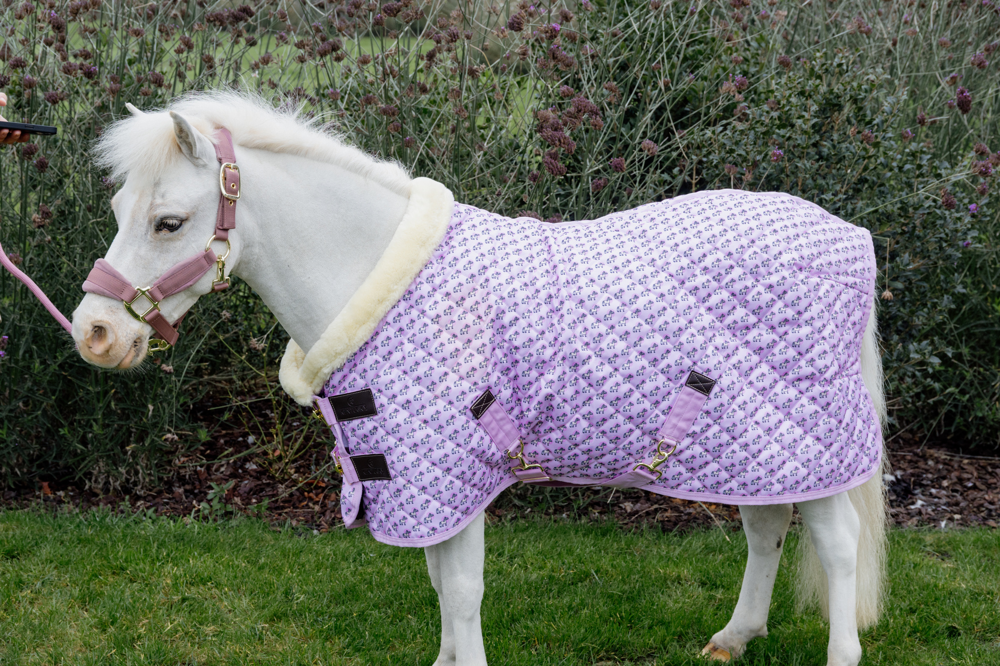 KENTUCKY® HORSEWEAR Turnierdecke Sammy, altrosa