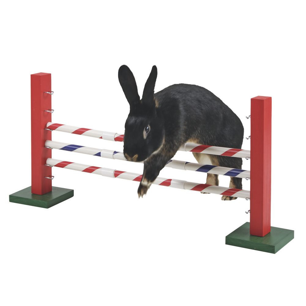 Agility Steilsprung