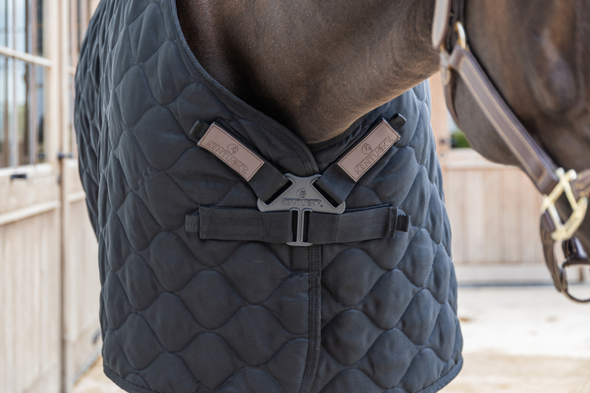 KENTUCKY® HORSEWEAR Stalldecke Comfort 200 g, schwarz Nahaufnahme des Brustverschlusses der schwarzen Stalldecke Comfort mit Wellensteppung an einem braunen Pferd.