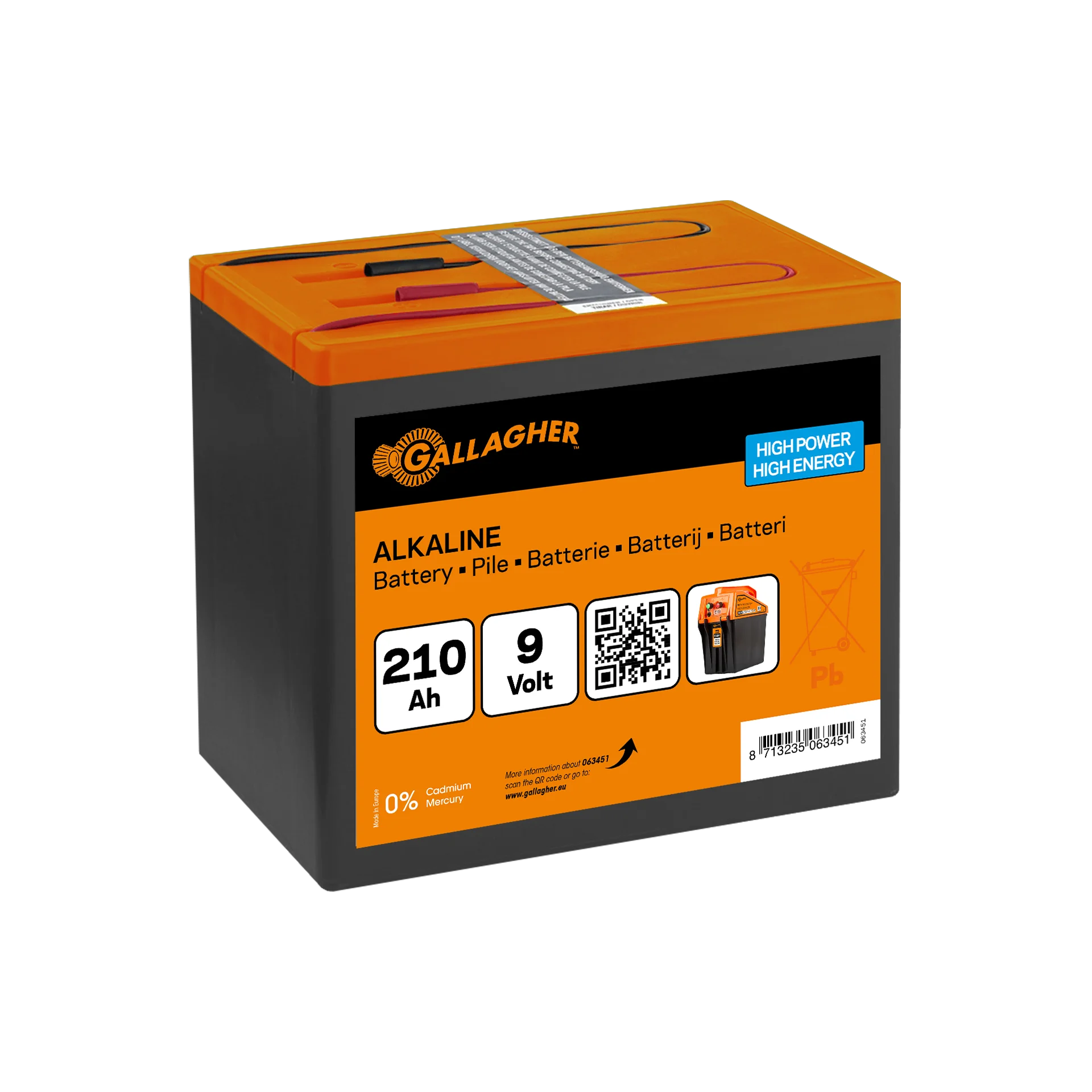 GALLAGHER Powerpack Batterie (9 V, 210 Ah)