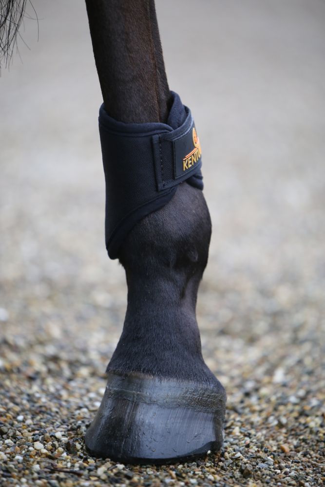 KENTUCKY® HORSEWEAR Arbeitsgamasche 3D Spacer hinten, schwarz