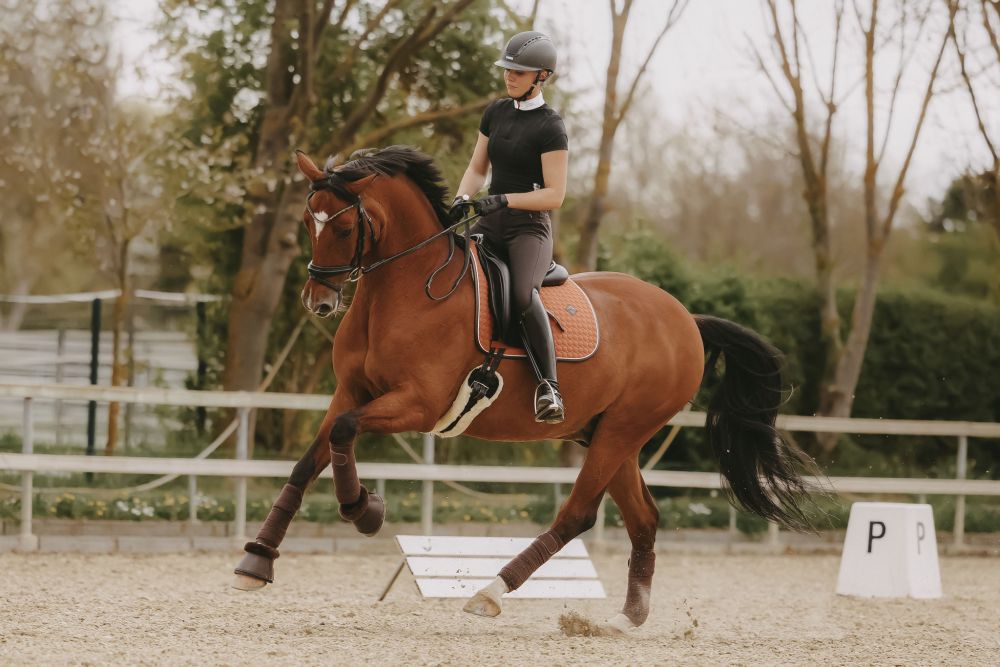 KENTUCKY® HORSEWEAR Schabracke Classic Leder Dressur, orange