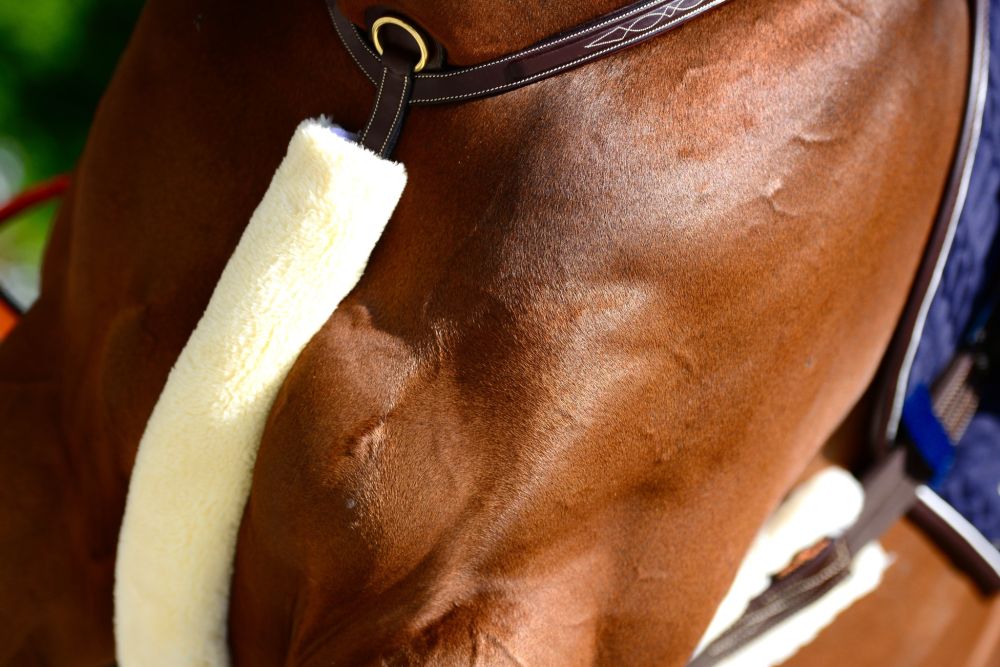 KENTUCKY® HORSEWEAR Schaffell-Martingalschoner, natur