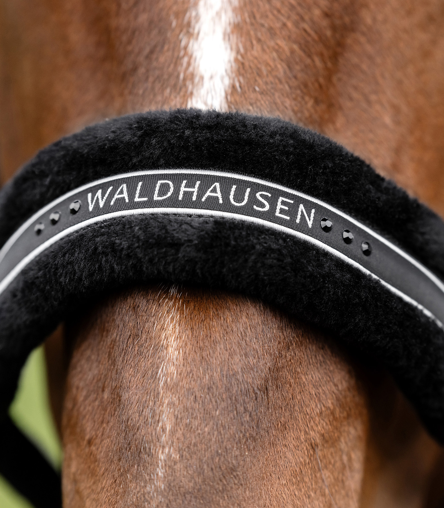 WALDHAUSEN Halfter Elegant, schwarz/schwarz