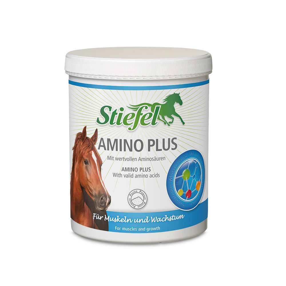 STIEFEL AMINO PLUS