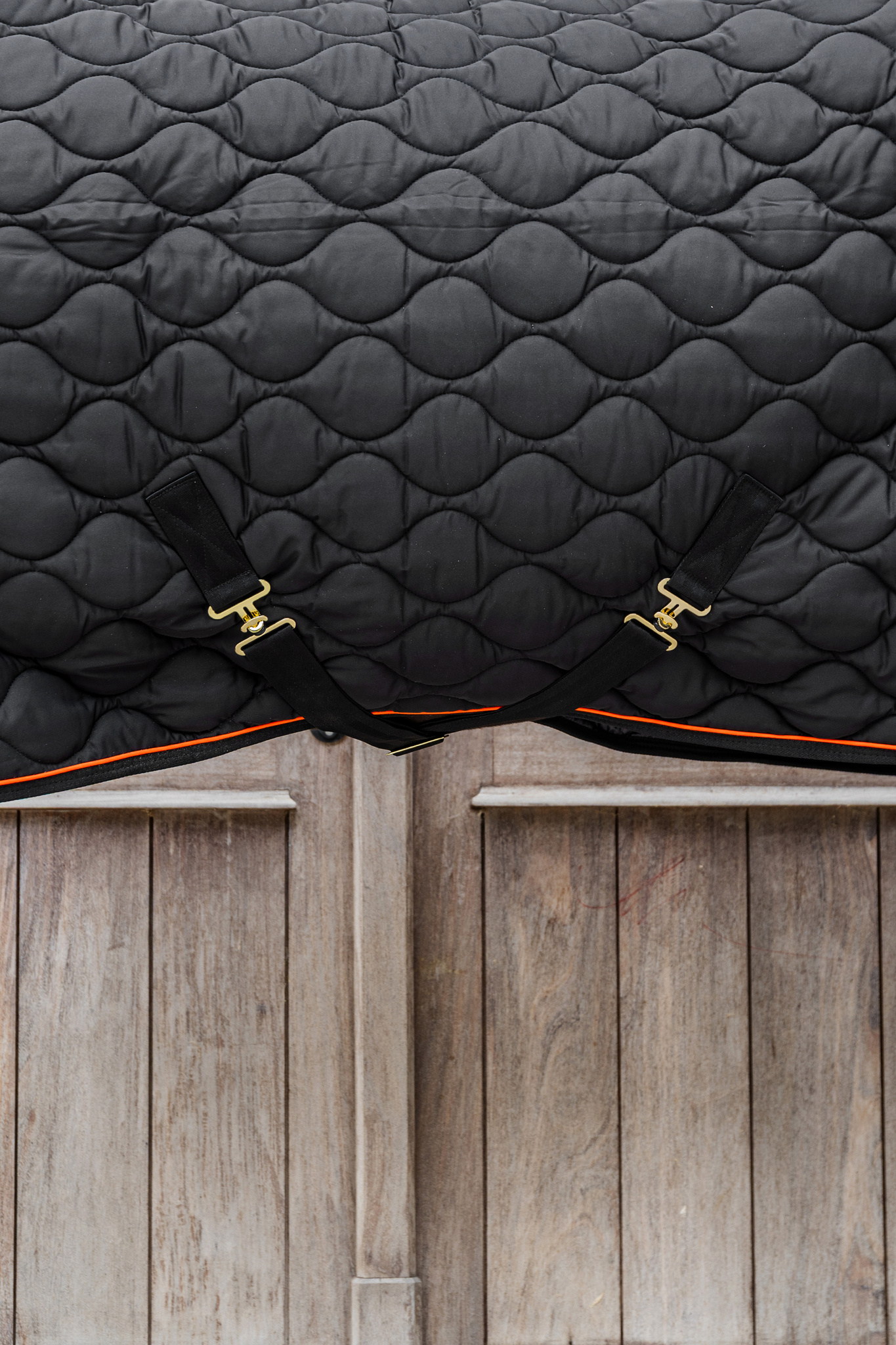 KENTUCKY® HORSEWEAR Stalldecke Wave 160g, schwarz Detailansicht der schwarzen Stalldecke Wave mit Wellensteppung, orangefarbener Paspel und goldenen Brustschnallen.