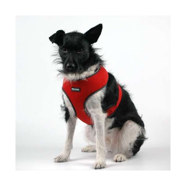 Pet-Star Softgeschirr / Netzgeschirr - Rot 