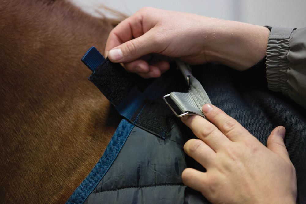 HORSEWARE® Amigo® Bravo 12 Plus Bundle Turnout, 50 g (+ 100 g & 200 g Liner), navy/titanium 