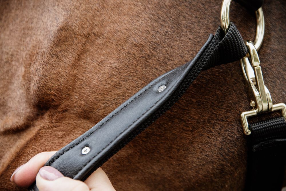 KENTUCKY® HORSEWEAR Anatomic Nylon Halfter, schwarz