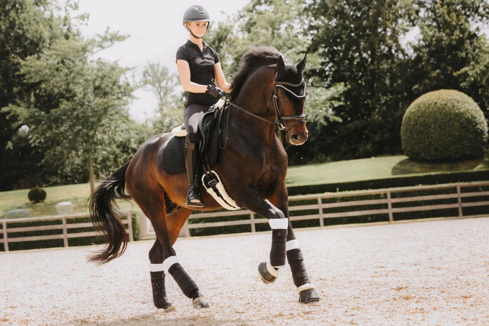 KENTUCKY® HORSEWEAR Bandagierunterlagen Absorb 4er-Set, 45 x 40 cm, weiß/schwarz