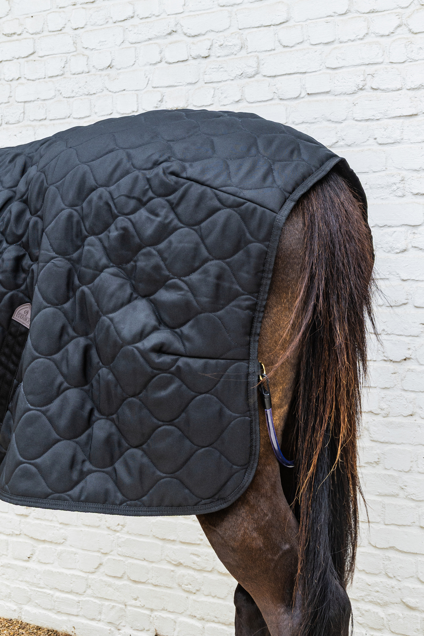 KENTUCKY® HORSEWEAR Stalldecke Comfort 300 g, schwarz Rückansicht der gesteppten Stalldecke Comfort in Schwarz mit Wellenmuster und Schweifriemen am Pferd.