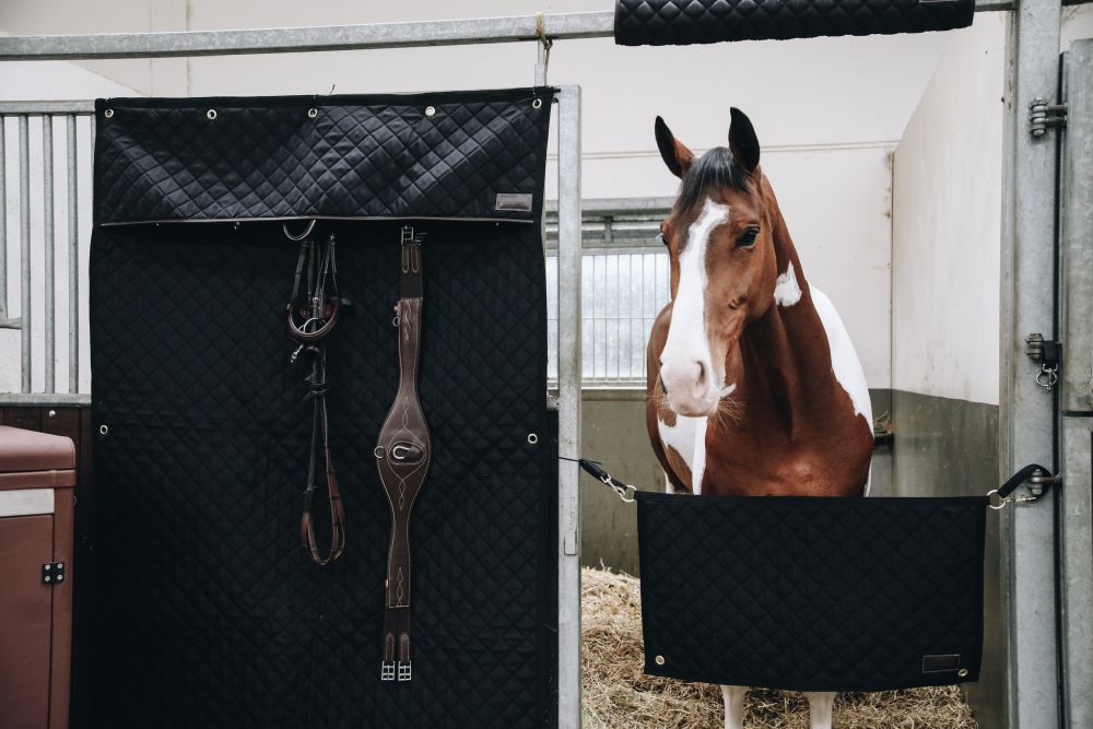 KENTUCKY® HORSEWEAR Stallvorhang, schwarz