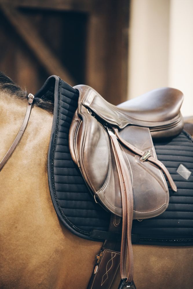 KENTUCKY® HORSEWEAR Schabracke Pearls Springen, schwarz