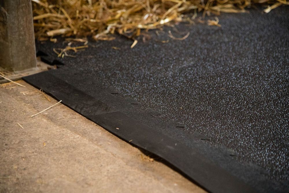 EQUIMORE SP Abschlussleiste Breite