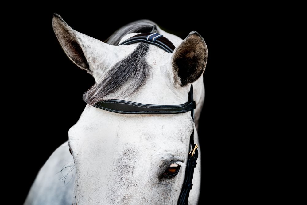 HORSEWARE® Micklem® 2 Multi Bridle, black