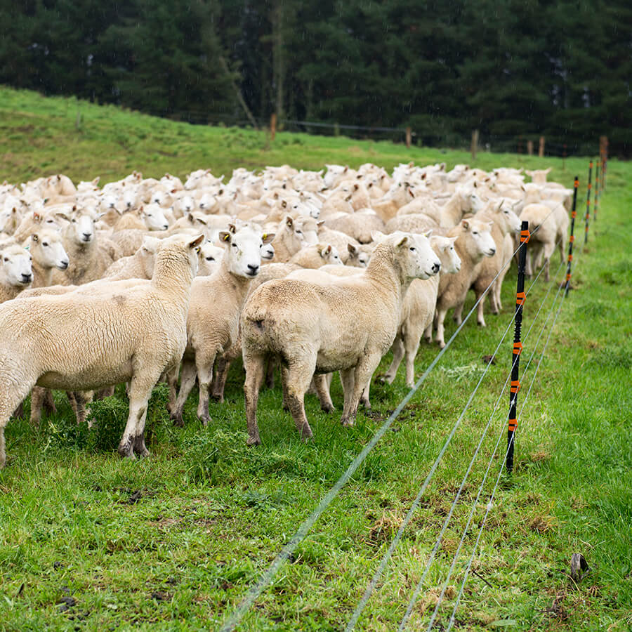 GALLAGHER Isolierter Line Post für Schafe und Vieh 1,4 m