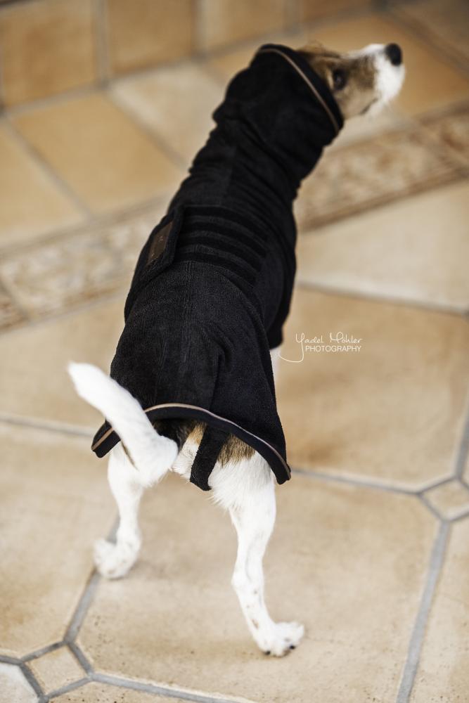 KENTUCKY® DOGWEAR Hundebademantel, schwarz