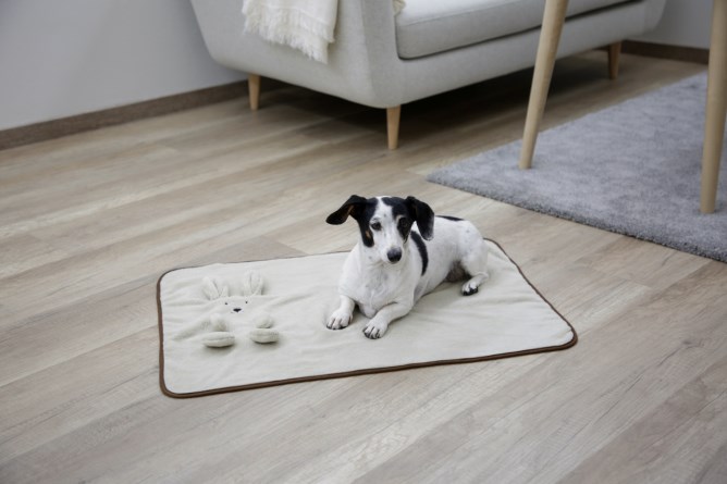KERBL Welpendecke Häschen, beige, 72x51cm