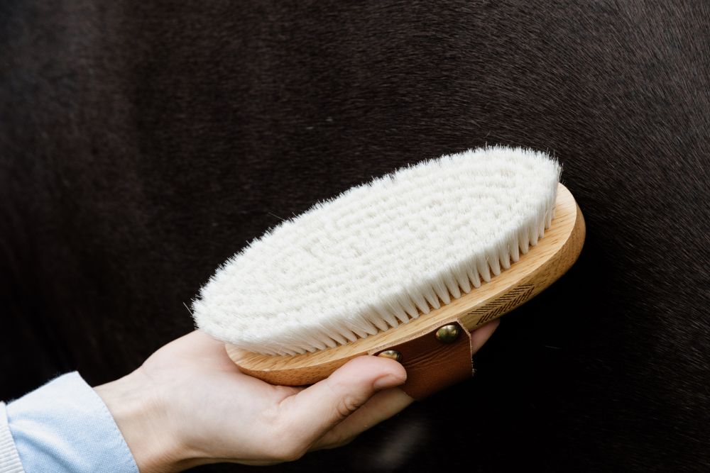 KENTUCKY® GROOMING DELUXE Small Overall Brush Soft 