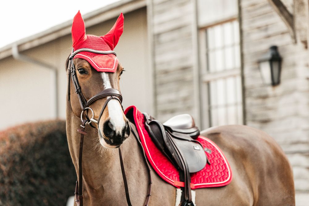 KENTUCKY® HORSEWEAR Schabracke Velvet Springen, rot