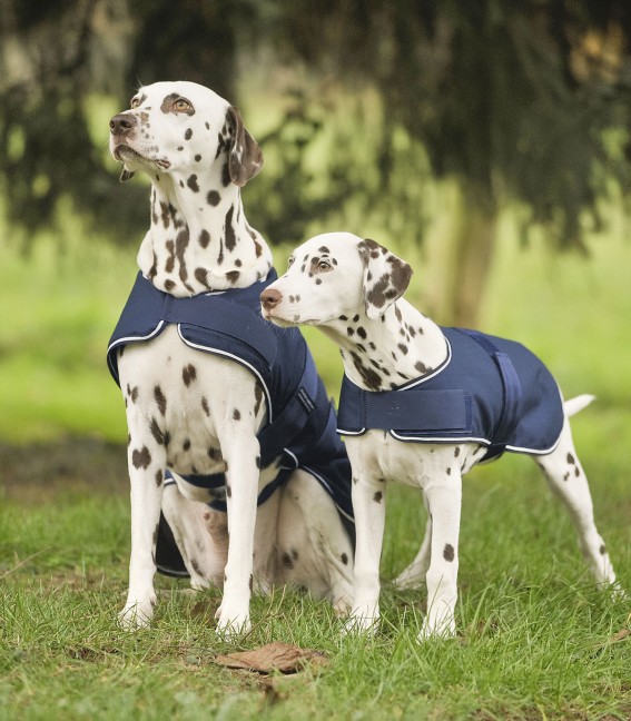 WALDHAUSEN Regen-Hundedecke, marine