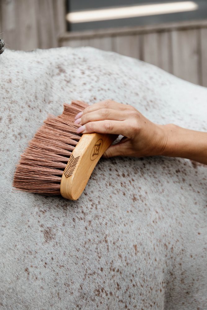 KENTUCKY® GROOMING DELUXE Middle Brush Medium