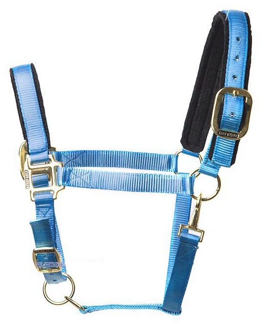 WESTERN IMPORTS® Tuff Stuff Halter, himmelsblau, Full