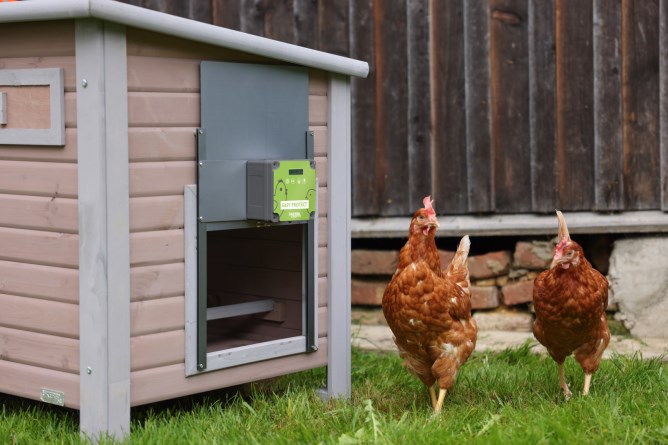 KERBL Automatische Hühnerklappe Komplettset EasyProtect