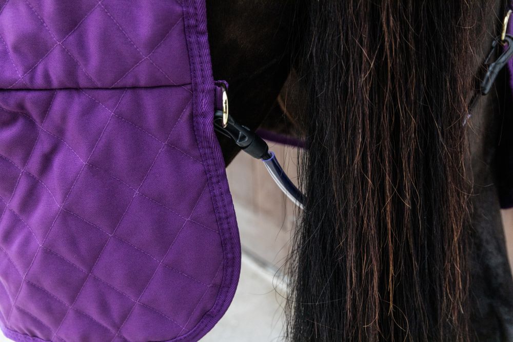 KENTUCKY® HORSEWEAR Turnierdecke, königliches-violett