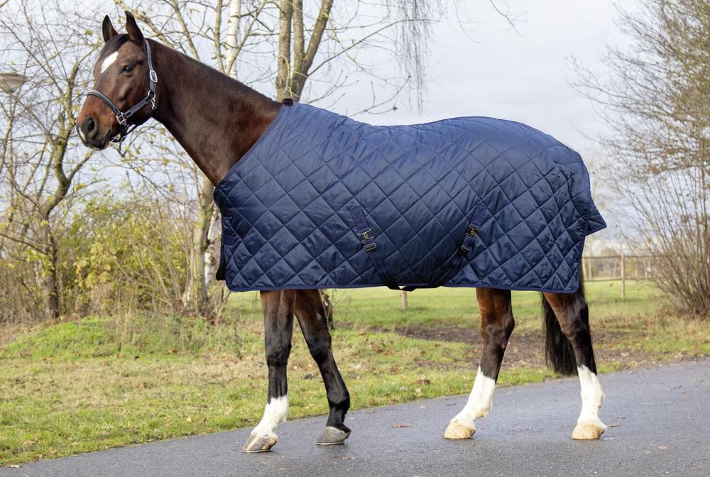 HKM Stalldecke mit 150 g Wattefüllung und Teddyfellinnenfutter, dunkelblau Dunkelblaue HKM Stalldecke 150g mit Rautensteppung an einem braunen Pferd in der Seitenansicht im Freien.
