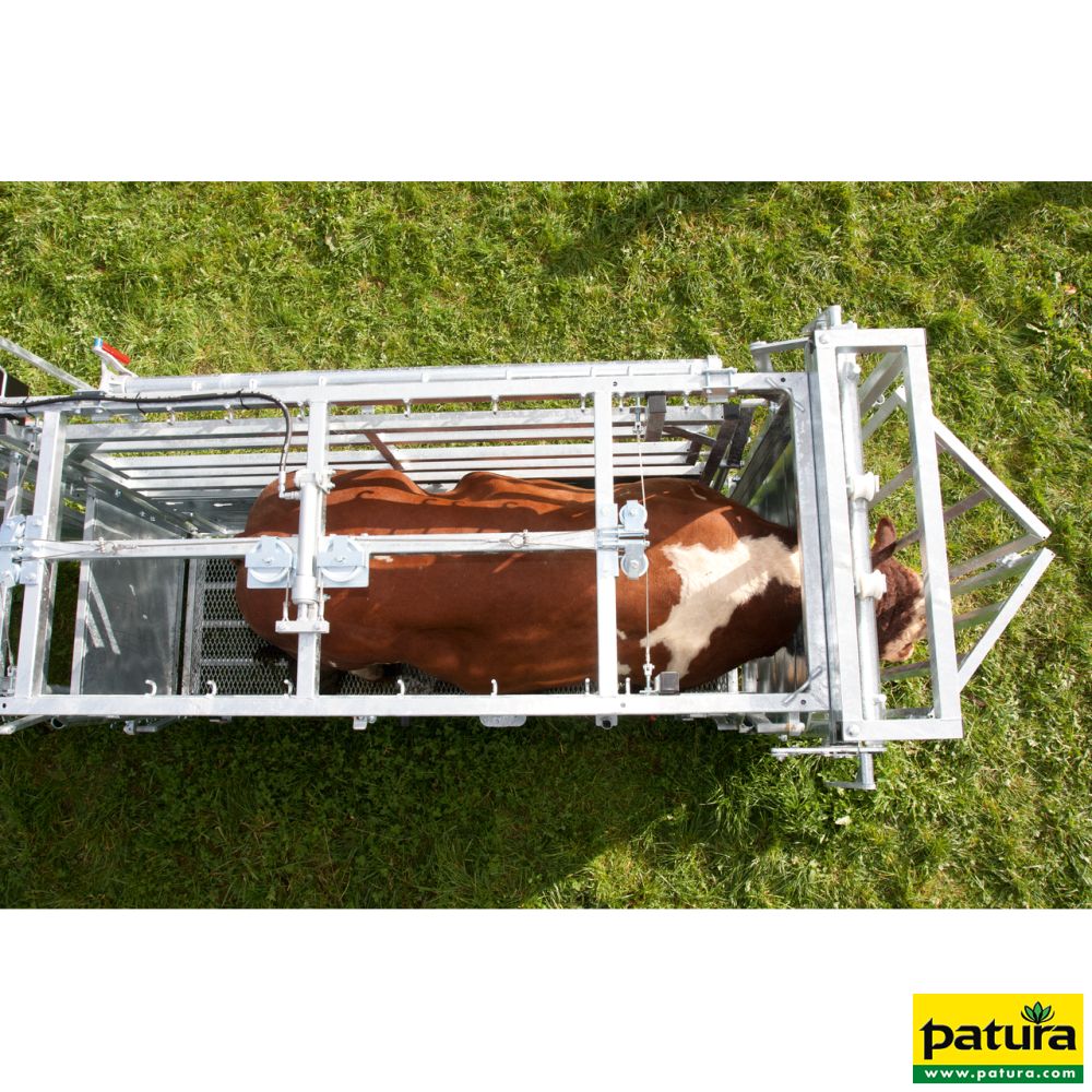 PATURA Behandlungsstand A 8000